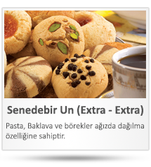 senedebir